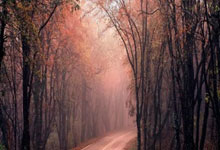 股票配资在线搜加杠网:网上股票开户流程-谁是“车企一哥”？比亚迪“老对手”发力 合资车龙头吹响反攻号角